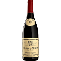 Louis Jadot Chambolle- Musigny 1er Cru Fuées 2021 