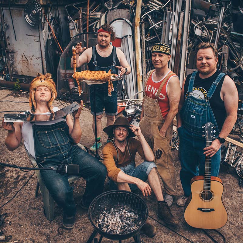 Steve 'n Seagulls